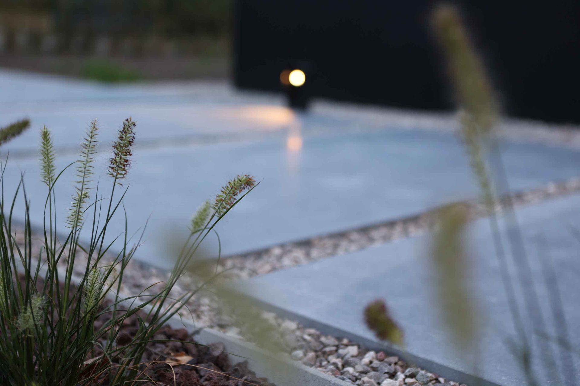 Detail van siergrassen langs strakke betonklinkers met warme padverlichting bij schemering
